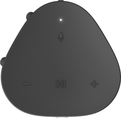 Sonos Roam Waterproof Bluetooth Speaker